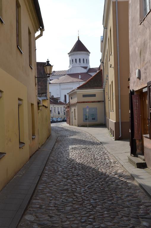 Sofijos Studio Old Town Apartment Vilnius Exterior photo