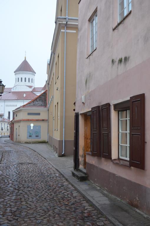 Sofijos Studio Old Town Apartment Vilnius Exterior photo